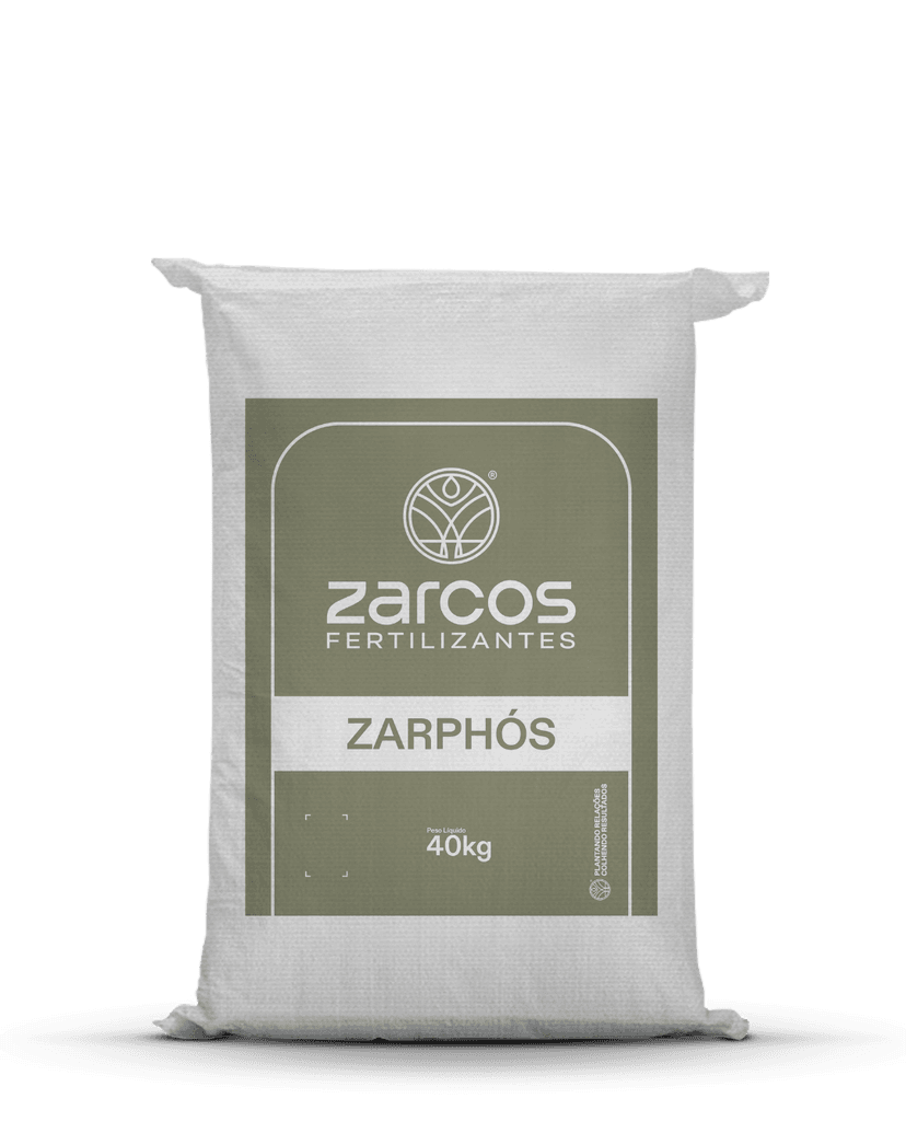 Zarphós 10269